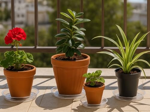 30 Packs 4 Inches Small Clear Plant Saucers for Indoor Outdoor Use Heavy Duty Plastic Plant Trays for Planter Bulk Flower Pot Drip Trays to Catch Water, 4 to 20 Inch - size: 4 Inches