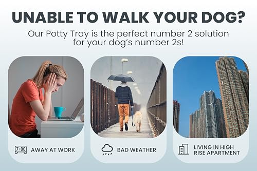 Pet Awesome Dog Potty Tray/Puppy Pee Pad Holder 25”x20” Indoor Wee Training for Small and Medium Dogs - color: Grey