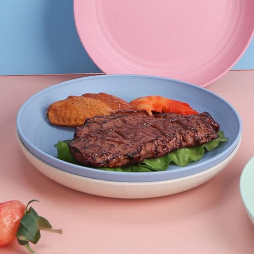 2 Pcs Wheat Straw Plates, 9Inch Unbreakable Dinner Plates, Reusable Plate for Camping,Picninc,Family Dinner,Black Beige Gay - color: Black,Beige,Gray