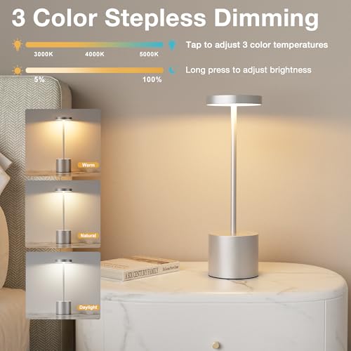Kakanuo Silver Gray Cordless Lamp Set, Rechargeable Lamp, 3 Color Temperature, LED Outdoor Wireless Lamps, Battery Operated Lamps, Stepless Dimmable, Touch Control - color: Silver Gray