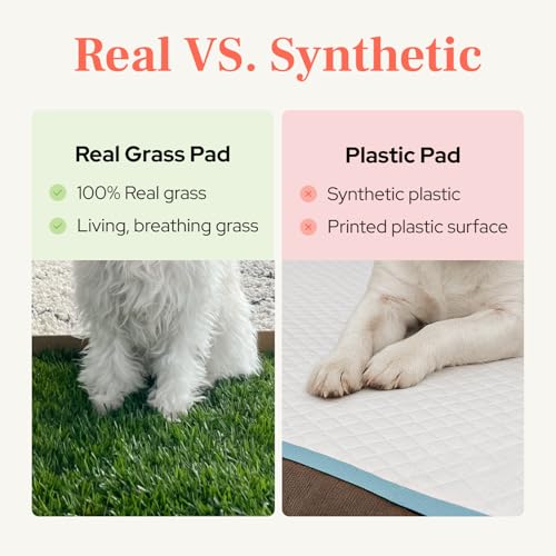 DoggieLawn Real Grass Puppy Pee Pads - Potty Training Pads for Dogs & Puppies - Indoor Grass Dog Potty for Apartments & Bad Weather - Natural Living Grass - Large 24 x 24 Inches - Made in USA - size: Large 24x24