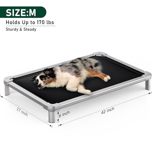Senneny Chew Proof Elevated Dog Bed Medium Sized Dog, Raised Cot for Indoor Outdoor Camping, Heavy-Duty Chew Resistant Hidden Fabric Indestructible Dog Bed, M, 42" L x 27" W x 6" H - size: M - 42"L x 27"W x 6"H