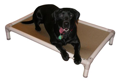 Kuranda Chewproof Bed - Almond PVC - 35" x 23" - Cordura Nylon - Forest Green - color: Forest, size: 35" x 23" - Almond PVC