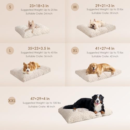 EHEYCIGA Washable Small Dog Bed for Crate 23x18 Inch, Reversible Kennel Pad for Puppy Weight Up to 25 lbs, Plush and Comfy Pet Sleeping Mat, Beige - color: Beige, size: 23" x 18"x 3"