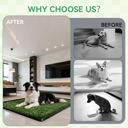 Dog Grass Pad with Tray,20"x30" Dog Litter Box, Artificial Turf Potty System with 2 Reusable Grass Patches + Washable Pee Pads, Portable Indoor Outdoor for Balcony Patio Apartment - size: Large-2 Grass Pad with Changing pad