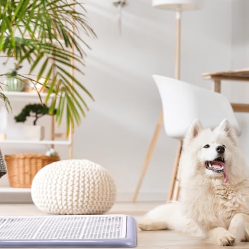 Mifoci Dog Training Pad Holder with Mesh Tray Non-Slip Leak Proof Puppy Potty Tray for Small Medium Large Dogs Pee Pad Holder Easy Clean Indoor Bathroom (25.59 x 18.90 Inch) - size: 25.59 x 18.90 Inch