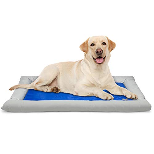 Arf Pets Dog Self Cooling Pet Bed – Solid Gel Based Self Cooling Mat for Pets, Includes a Foam Based Bolster Bed for Extra Comfort - size: 26" x 40