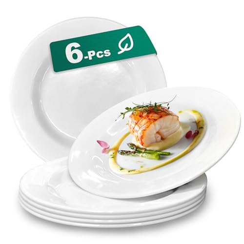 6 Sets 8 Inch Plate Set Unbreakable Lightweight Dessert Plates - White Dinner Plates Dishwasher Safe Outdoor Kitchen Kids Snack Plate Scratch Resistant Reusable Gift For Wedding Home Everyday Use - color: 8 in Plate White