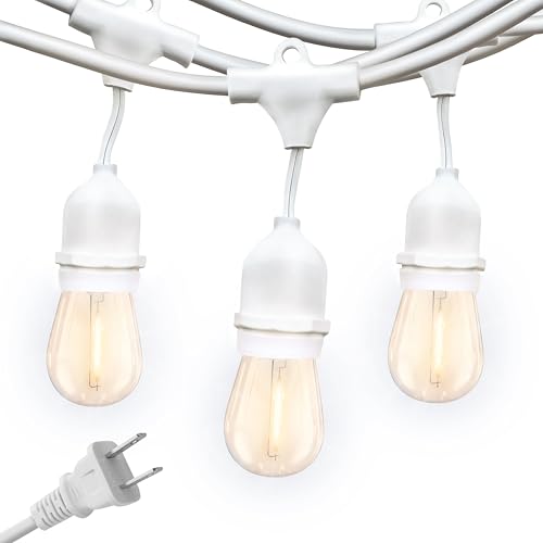 Brightech Ambience Pro Waterproof LED Outdoor String Lights, 48 Ft, Hanging, Dimmable Vintage Edison Bulbs, 15 Bulbs, 2W - style: 48 Foot - White Cable - Soft White (2700K)