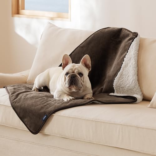 Bedsure Waterproof Dog Blankets for Medium Dogs - Medium Cat Blanket Washable for Couch Protection, Sherpa Fleece Puppy Blanket, Soft Plush Reversible Throw Furniture Protector, 30"X40", Coffee Brown - color: Coffee Brown, size: M(30x40")