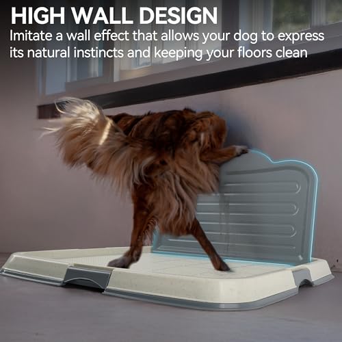 PAWISE Male Dog Pee Pad Holder with High Wall, 23.5"x23.5" Indoor Potty Tray for Medium/Large Dogs, Reusable Large Training Pad Holder with Splash Guard, Includes 4 Pee Pads, Anti-Slip & Easy to Clean