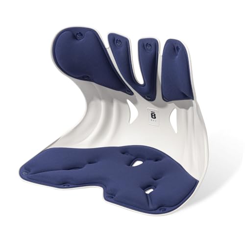 BKT Seat Cushion Chair Ergonomic Office Chair Cushions Lumbar Support for Seat Pillow Ideal for Students Office Workers Nursing Mothers Long Sitting Outdoor Fishing Floor - color: Xl-prussian Blue