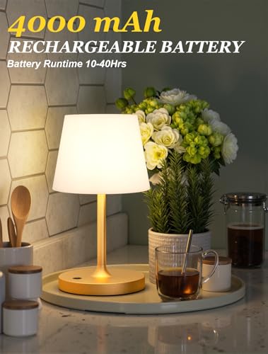 Kakanuo Gold Cordless Shower Lamp Waterproof, Rechargeable Cordless Lamp with 4000mAh Battery, Touch Dimmable Table Lamp for Outdoor, Kitchen, Bathroom, Camping, Patio, IP54 - color: Gold