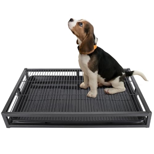 Dog Potty Tray, Pet Indoor Dog Training Toilet, Pet Litter Box Dogs Training Toilet, Puppy Pee Pad Holder Mesh Pad Tray, Potty Trainer Holder for Small Dogs (L, 24.4x16.9x3.1in) - size: Large