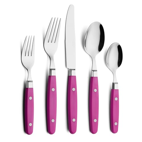 ANNOVA Silverware Set Stainless Steel Cutlery Color Handle With Rivet/Retro Flatware (Pink, 20 Pieces) - color: Hot Pink, size: 20 Pieces
