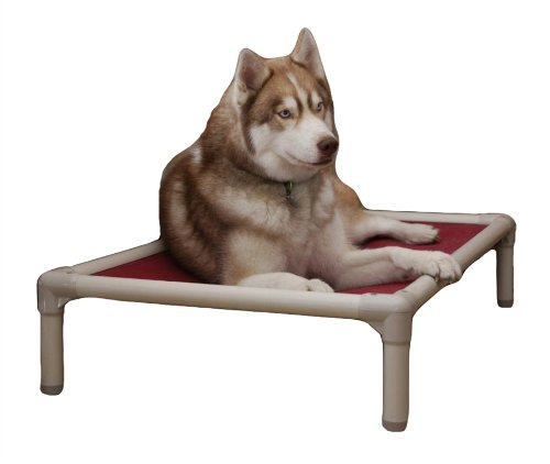 Kuranda Chewproof Bed - Almond PVC - 35" x 23" - Cordura Nylon - Forest Green - color: Forest, size: 35" x 23" - Almond PVC