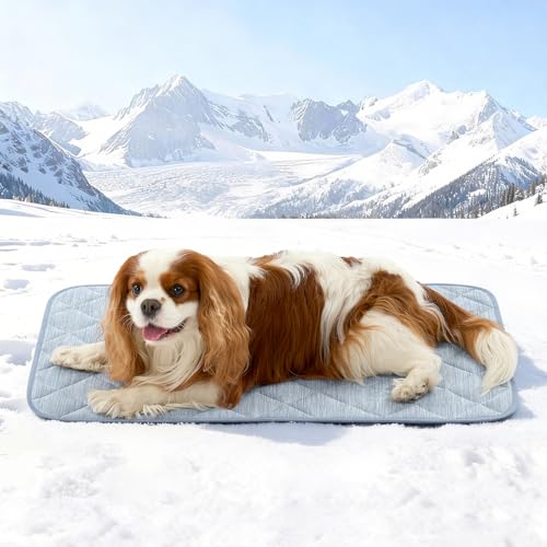COZY KISS Dog Cooling Mat 20"x30" Q-Max>0.4, Waterproof Pet Bed Cover, Non-Slip Dog Bed Mat, Washable Cooling Pad for Small Dogs, Cats, Crate, Couch, Furniture Protector (Blue) - color: Blue, size: 20"x30"