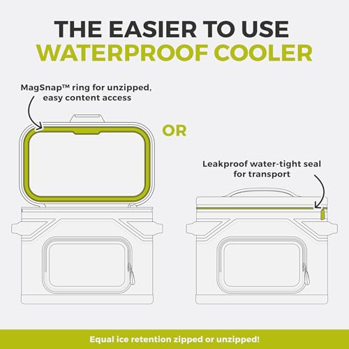 CORE Magnetic Leak Proof Soft Cooler with Waterproof Zipper | Insulated Bag Portable Ice Chest Box | Best Soft Cooler for Food & Beverages for Tailgating, Car Camping, Travel, and Family Beach Picnics - color: Sage, size: 18 Can
