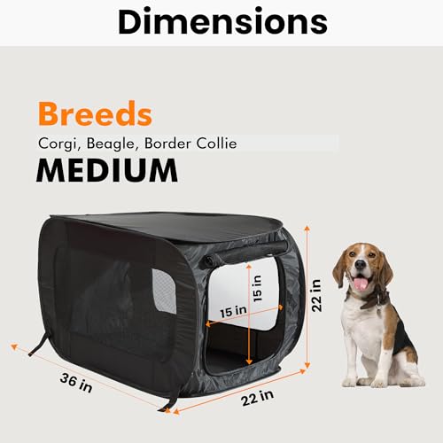 Beatrice Home Fashions Portable, Collapsible, Pop Up Kennel Travel Cat and Dog Crate, 36" L x 22" W x 22" H, Black - color: Black, size: 36.0"L x 22.0"W x 22.0"H