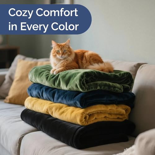 Ultra Soft Fleece Blanket Twin Size - Flannel Fleece Luxury Twin Blanket - Lightweight for Couch Bed Chair - Thick, Warm and Breathable - All Season Cozy Fuzzy, Anti-Static Microplush Bedding, Cream - color: 01 - Cream, size: Twin (60" x 80")
