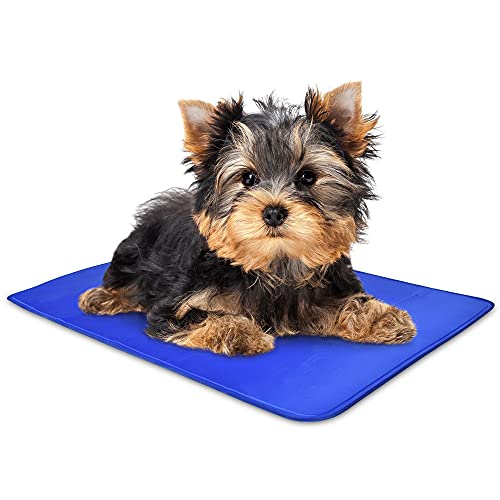 Arf Pets Dog Self Cooling Mat 11.5 x 15.5, Pad for Kennels, Crates and Beds, Non-Toxic, Durable Solid Cooling Gel Material. No Refrigeration or Electricity Needed, Ex-Small - size: X-Small