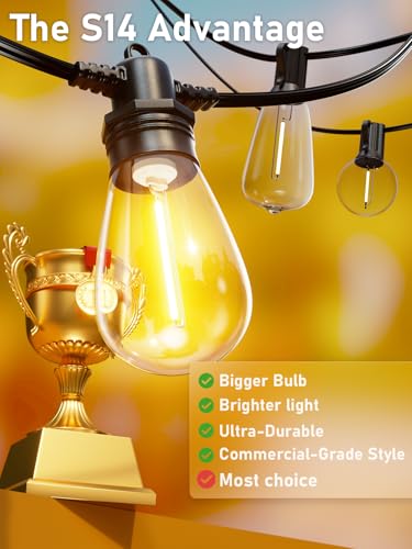 100FT LED Outdoor String Lights with 30 Edison Shatterproof IP65 Waterproof Bulbs, 2700K Dimmable Commercial Grade Patio Lights, Heavy Duty Outside Hanging Light for Garden Porch Deck Decor - size: 100 FT