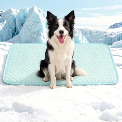 Dog Cooling Mat, Comfortable Pet Cooling Pad for Dogs Cats, Q-Max>0.4 Washable Cool Fiber Portable for Indoor Outdoor Car Seats - size: Medium