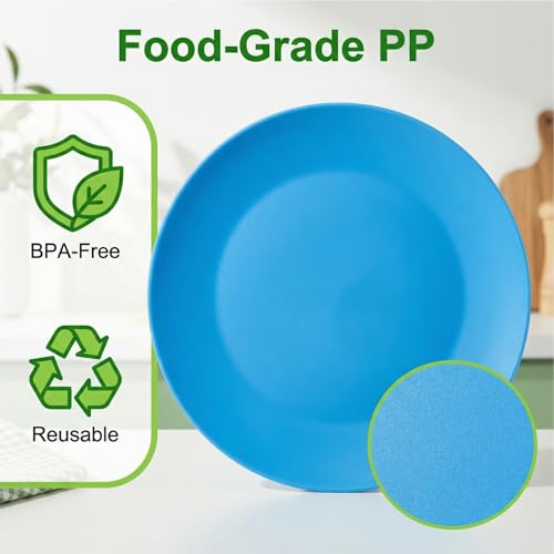 AOYITE Plastic Dinner Plates Reusable BPA Free Dishwasher Safe Microwaveable Plate for Any Occasion, BBQ, Travel, and Events (Multicolor set of 12) - color: Neon Summer Tones