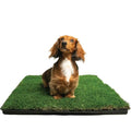 BETHEL Gotta Go Grass, Dog Natural Grass Patch Potty, Real Dog Grass for Pet Training, Dog Grass Pad with Tray, Puppy Potty Training, Dog Accessories, Perfect Indoor/Outdoor Portable Potty Pet Loo - size: 1 Pack, With Tray