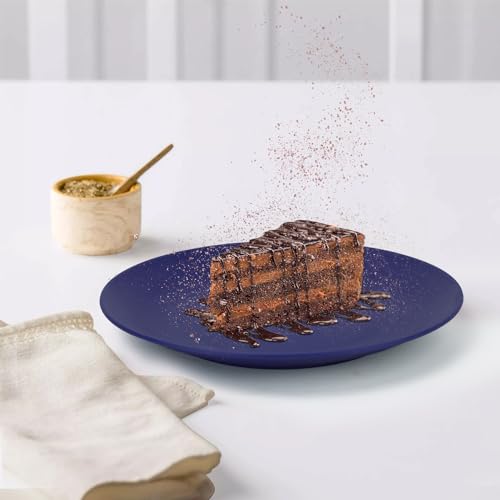 Wrova Wheat Straw Dinner Plates 10 Inch Unbreakable Set of 8 - Dishwasher & Microwave Safe Plastic Plates Reusable - Lightweight Plates for kitchen,camping,salad,appetizer - Ocean Series - color: Gradient Blue, size: 10 inch