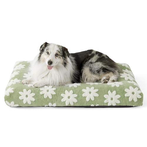 LE SURE XLarge Dog Bed-Thick Shredded Chopped Foam Pet Bed Indoor with Removable Cover, Cute Modern Fuzzy Plush & Anti Slip Bottom, Green - color: Green, size: 41.0"L x 28.0"W x 4.0"Th