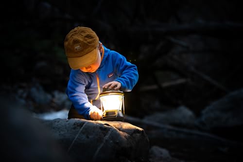 Lighthouse 600 Multi Functional Adjustable Light Perfect for Camping, Outdoor Events, or Emergency use Lumens USB Charging of Phones and Small Devices Long-Lasting Lithium Battery. - style: Lighthouse 600