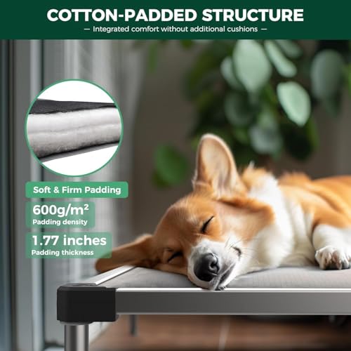 FXW TitanNest Chew-Proof Elevated Dog Bed, Raised Cot for Indoor/Outdoor/Camping Use, Durable & Washable Padded Pet Bed for Medium Dogs, 42.0" L x 27.0" W x 5.0" H, Gray - color: Gray, size: Medium Dog (42.0"l X 27.0"w X 5.0"h)