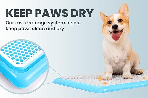 Pet Awesome Dog Potty Tray/Puppy Pee Pad Holder 25”x20” Indoor Wee Training for Small and Medium Dogs - color: Blue