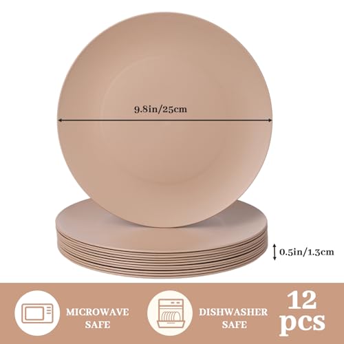 12-Pack 9.8 Inch Plastic Dinner Plates Reusable, Lightweight Unbreakable Plastic Salad plates Daily Use Microwave & Dishwasher Safe Plates Plastic Party Plates Outdoor food Fruit (Brown) - color: Brown, size: 9.8 Inch