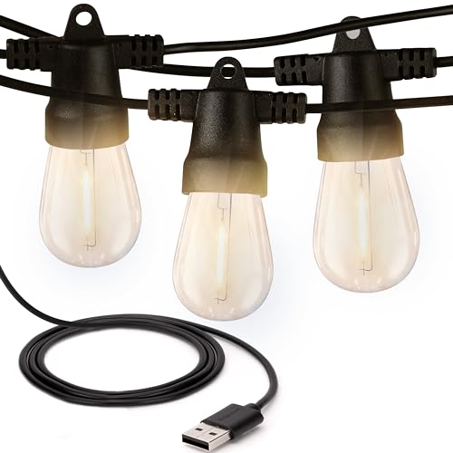 Brightech Ambience Pro USB Powered String Lights - 24 Ft Commercial Grade Waterproof String Lights - Outdoor Shatterproof Patio Lights for Camping, Backyard, Porch, Christmas - 1W 12 Bulbs, Warm White - color: (2700K) Warm White