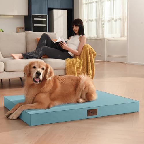 Outdoor Dog Bed for Small Dogs & Cats, Waterproof Dog Crate Mat Orthopedic Egg Crate Foam with Washable Removable Oxford Cover, Light Blue - color: Light Blue, size: 23.0"L x 17.0"W x 2.5"Th