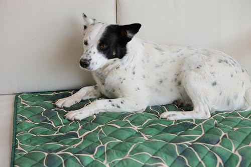 Waterproof Blanket, 29" x 34” - Seat Cover for Dogs and Pets. Ideal for Small and Medium Pet Crate Blankets, Settle mat, Diaper Changing and Playmat for Babies - color: Red and Green