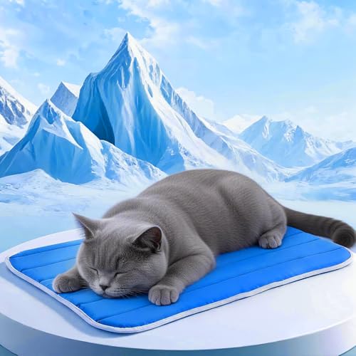 Dog Cooling Mat, Cold Memory Sponge Cooling Mat for Dog,Foldable Crate Pet Bed & Non-Slip, (Q-Max > 0.45) Long-Lasting Cool & Keep Your Pet Cool. (Medium - (27.5 x 19.6 Inch)) - size: Medium - (27.5 x 19.6 Inch)