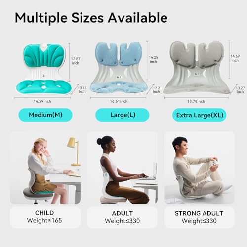 BKT Seat Cushion Chair Ergonomic Office Chair Cushions Lumbar Support for Seat Pillow Ideal for Students Office Workers Nursing Mothers Long Sitting Outdoor Fishing Floor - color: L-sky Blue