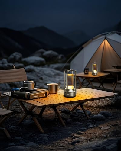 Set of 2 Cordless Table Lamps, LED Rechargeable Battery Operated Desk Lamps with 3 Color Stepless Dimmable, Small Light Portable for Outdoor Patio Bar Restaurants Bedroom Bedside (Silver) - color: Silver-2