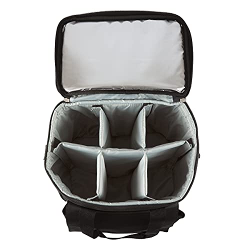 Picnic TIME Cellar 6-Bottle Wine Carrier & Cooler Tote, Insulated Padded Wine Cooler Bag for Travel, Portable Water-Resistant Wine Bag, (Black with Gray Accents) - style: Wine Carrier