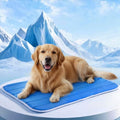 Dog Cooling Mat, Cold Memory Sponge Cooling Mat for Dog,Foldable Crate Pet Bed & Non-Slip, (Q-Max > 0.45) Long-Lasting Cool & Keep Your Pet Cool. (Large - (35.4 x 23.6 Inch) - size: Large - (35.4 x 23.6 Inch）