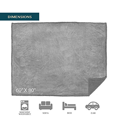 PAVILIA Waterproof Blanket for Couch, Sofa | Waterproof Dog Blanket for Large Dog, Puppy, Cat | Pet Blanket Protector | Plush Soft Warm Fuzzy Sherpa Blanket Bed Throw, Light Grey, 60x80 - color: Light Grey, size: 60x80 Inches