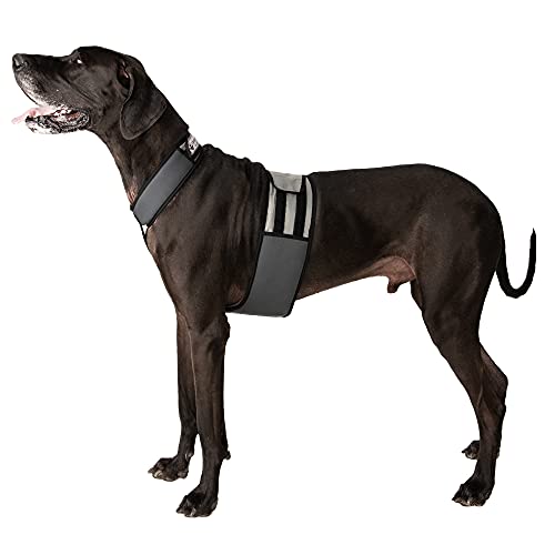 CoolerDog Dog Cooling Vest & Cooling Collar – Ice Vest for Hot Weather Heat Relief, Re-Freezable Pure Water Inserts (X-Large 34”–40” Girth) - size: XL