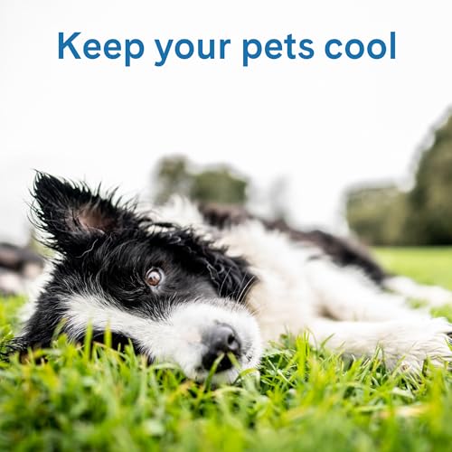 The Green Pet Shop Cool Pet Pad - Extra Large, Blue - Self-Cooling, Pressure Activated Mat for Dogs & Cats from 80+ lbs - Non-Toxic Gel, No Water Needed - color: Blue, size: X-Large