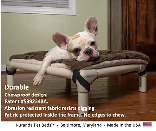 Kuranda Chewproof Bed - Almond PVC - 35" x 23" - Cordura Nylon - Burgundy - color: Burgundy, size: 35" x 23" - Almond PVC