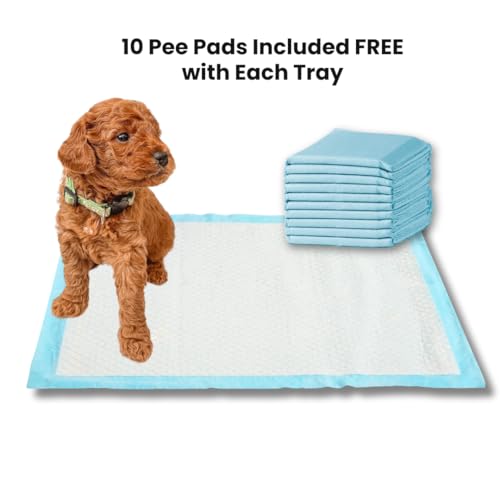 Little Wolves Puppy Potty Tray – 22x22 Shred-Proof Heavy-Duty Training Tray for Puppies & Small Dogs, Easy-Clean, Indoor Dog Pee Pad Holder (Medium Gap) - size: Medium Gap