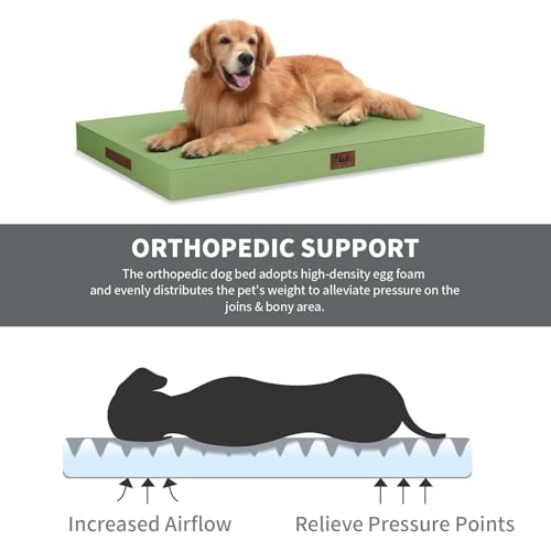 Outdoor Dog Bed for Small Dogs & Cats, Waterproof Dog Crate Mat Orthopedic Egg Crate Foam with Washable Removable Oxford Cover, Light Green - color: Light Green, size: 23.0"L x 17.0"W x 2.5"Th