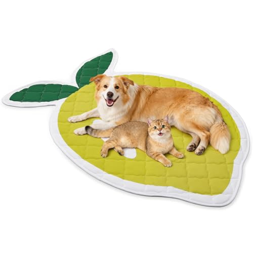 LOOBANI Dog Cooling Mat for Large Dogs 60"x40"- Cute Lemon Design Cooling Mat for Dogs (Cool & Warm Side), Dog Cooling Pad for Crate, Floor, Car, Trip, Yellow 60"x40" - color: Lemon, size: 60"x40"